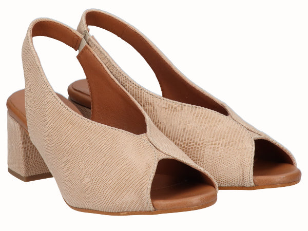 5415 Electra Beig_2.jpg